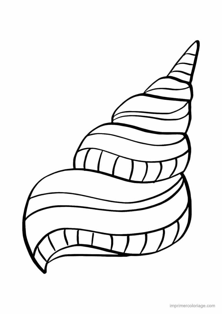 coloriage coquillage toupie - dessin gratuit &agrave; imprimer