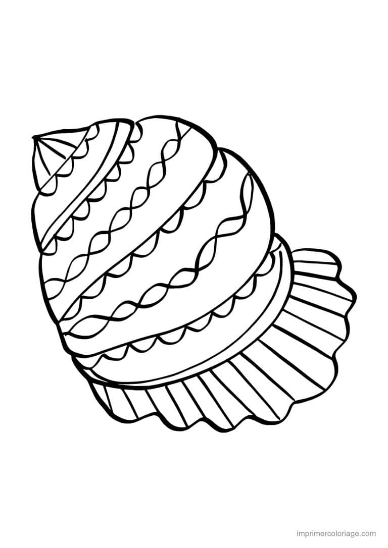 coloriage coquillage turban - dessin gratuit &agrave; imprimer