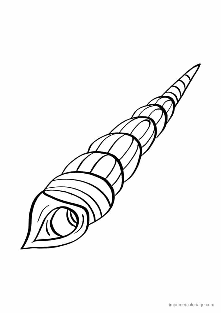 coloriage coquillage turritelle - dessin gratuit &agrave; imprimer