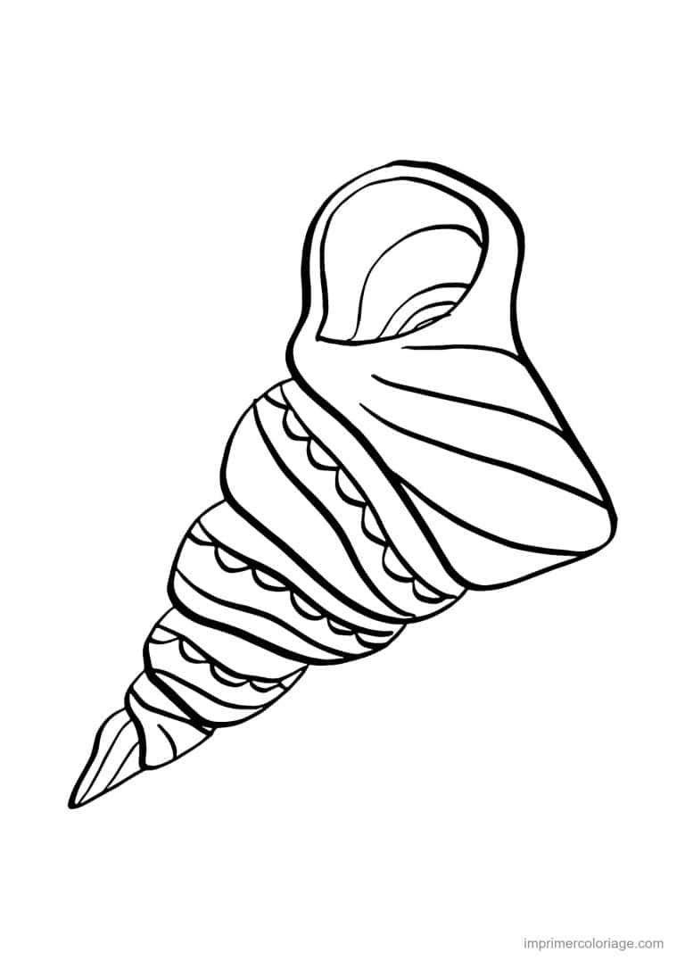 coloriage coquillage vis - dessin gratuit &agrave; imprimer