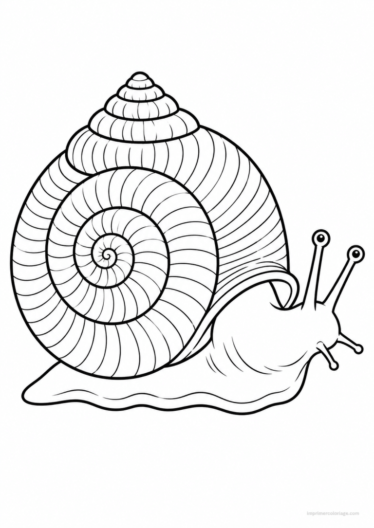 coloriage escargot coquille spirale detail à imprimer coloriage escargot coquille spirale detail - dessin gratuit à imprimer