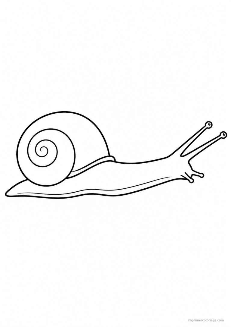 coloriage escargot etire corps à imprimer coloriage escargot etire corps - dessin gratuit à imprimer