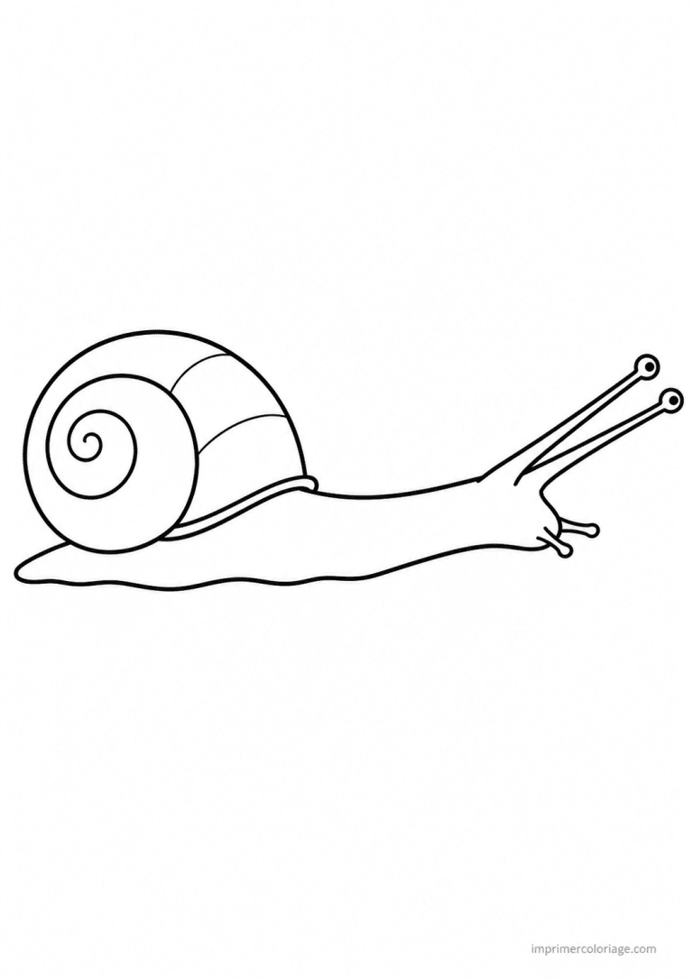 coloriage escargot etire corps à imprimer coloriage escargot etire corps - dessin gratuit à imprimer