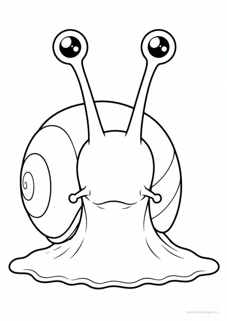 coloriage escargot face antennes à imprimer coloriage escargot face antennes - dessin gratuit à imprimer