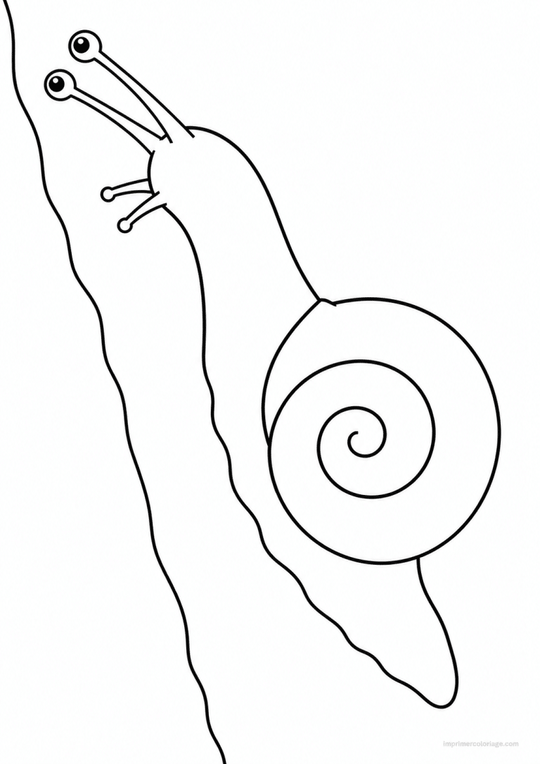 coloriage escargot grimpe vertical à imprimer coloriage escargot grimpe vertical - dessin gratuit à imprimer