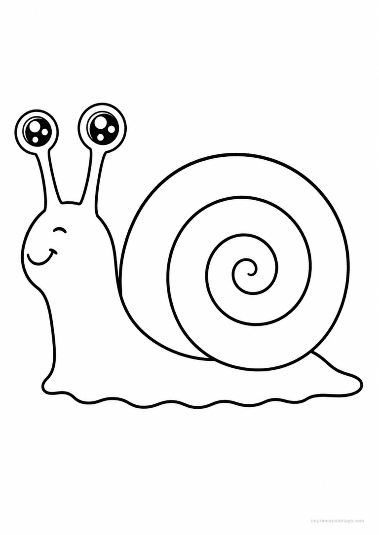 coloriage escargot profil coquille à imprimer coloriage escargot profil coquille - dessin gratuit à imprimer