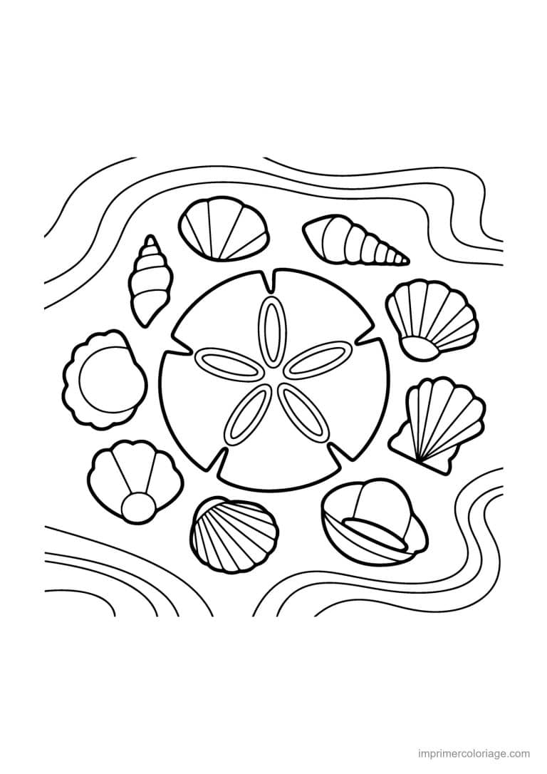 coloriage ete coquillages et sable - dessin gratuit &agrave; imprimer