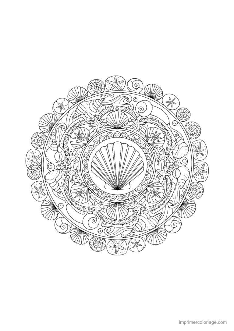 coloriage ete mandala coquillage - dessin gratuit &agrave; imprimer