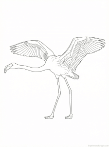 coloriage flamant rose ailes deployees - dessin gratuit à imprimer