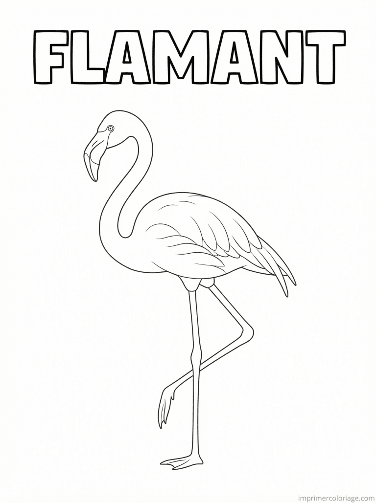 coloriage flamant rose titre patte à imprimer coloriage flamant rose titre patte - dessin gratuit à imprimer