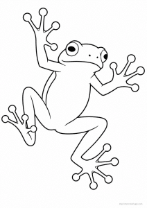 coloriage grenouille arboricole ventouses - dessin gratuit à imprimer