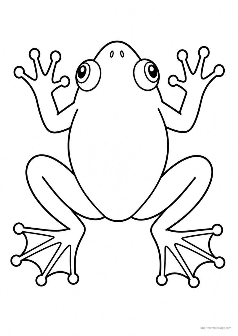 coloriage grenouille dessus pattes - dessin gratuit &agrave; imprimer