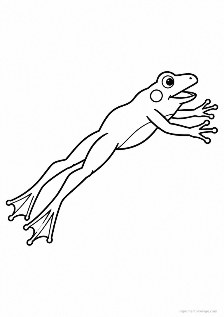coloriage grenouille saut pattes etirees - dessin gratuit &agrave; imprimer