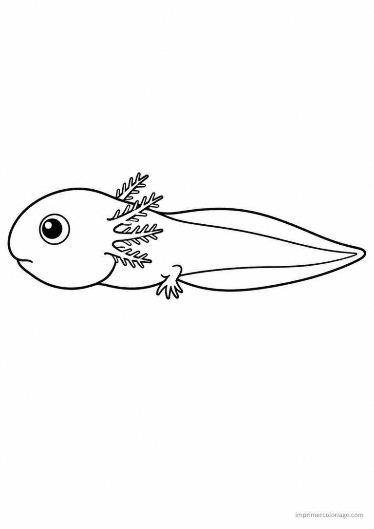 coloriage grenouille tetard queue profil - dessin gratuit &agrave; imprimer
