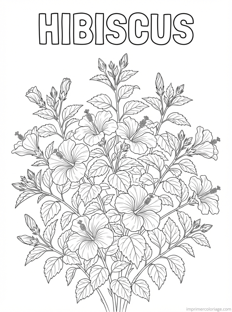 coloriage hibiscus titre buisson - dessin gratuit &agrave; imprimer