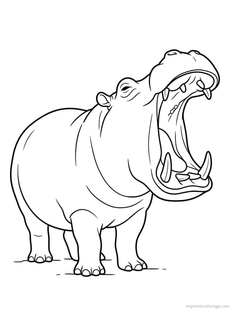 coloriage hippopotame baillement defenses à imprimer coloriage hippopotame baillement defenses - dessin gratuit à imprimer
