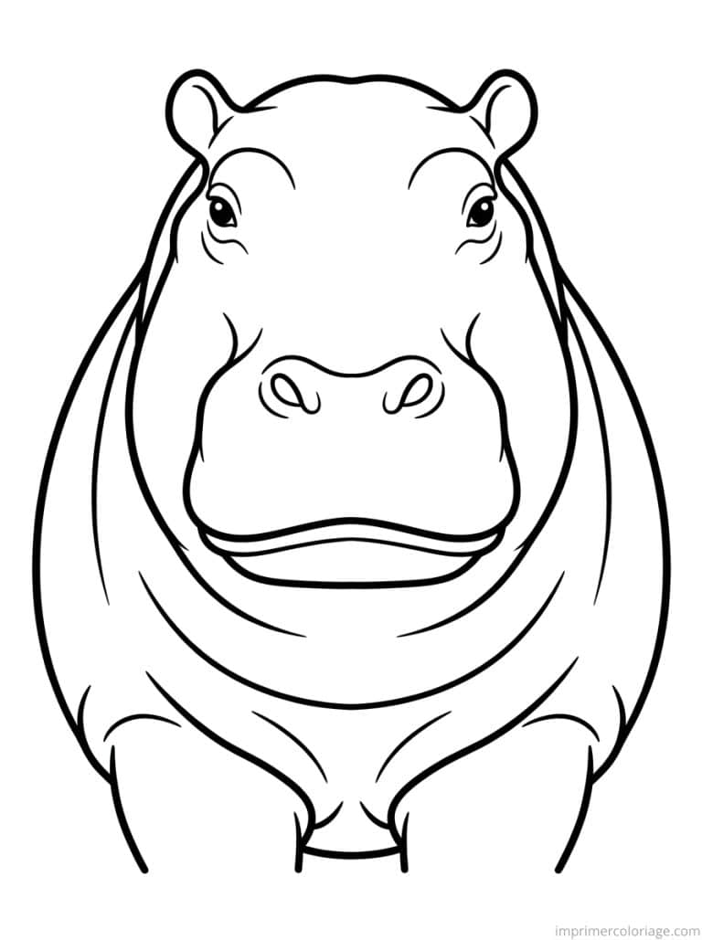 coloriage hippopotame face naseaux à imprimer coloriage hippopotame face naseaux - dessin gratuit à imprimer
