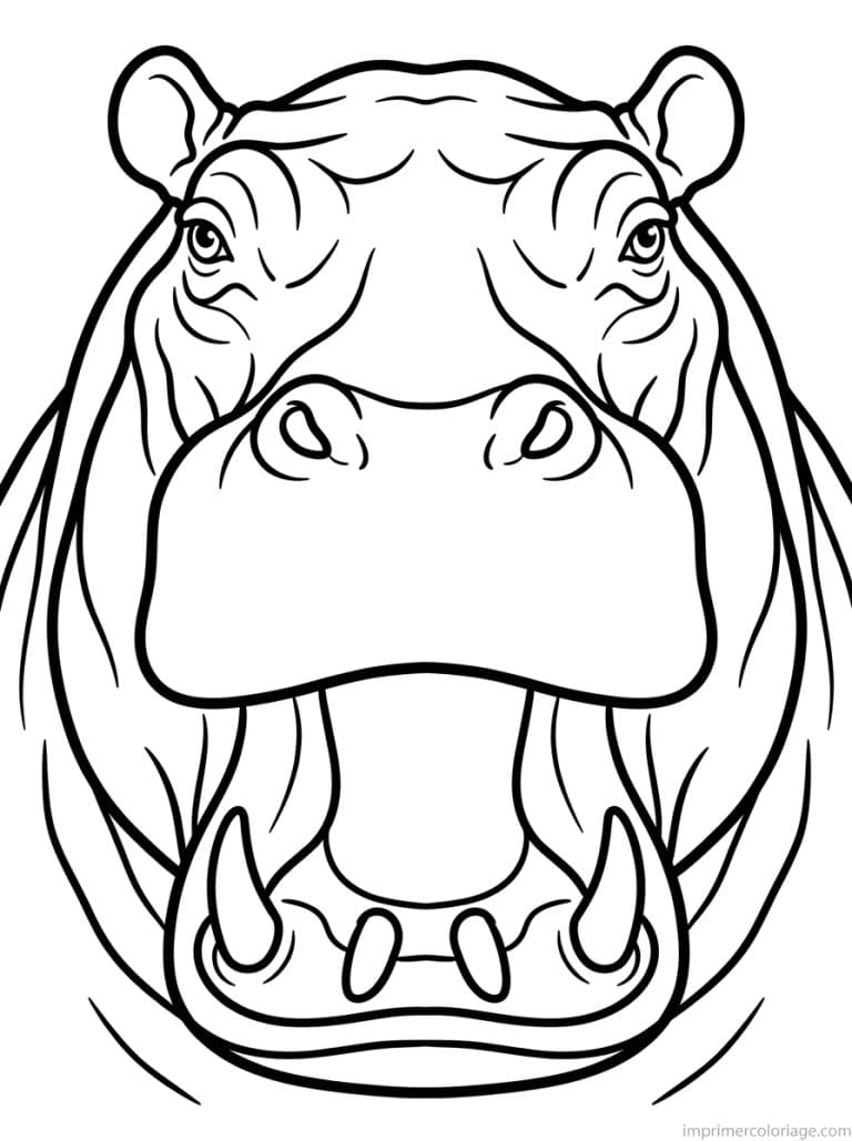 coloriage hippopotame portrait gueule à imprimer coloriage hippopotame portrait gueule - dessin gratuit à imprimer