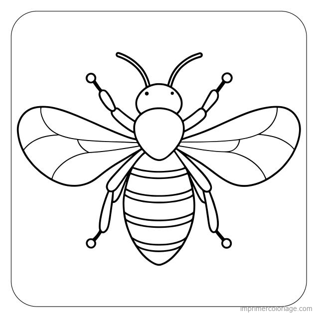 coloriage insecte abeille 36 à imprimer coloriage insecte abeille 36 - dessin gratuit à imprimer