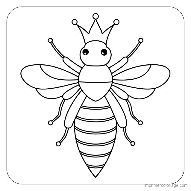 coloriage insecte abeille 40 à imprimer coloriage insecte abeille 40 - dessin gratuit à imprimer