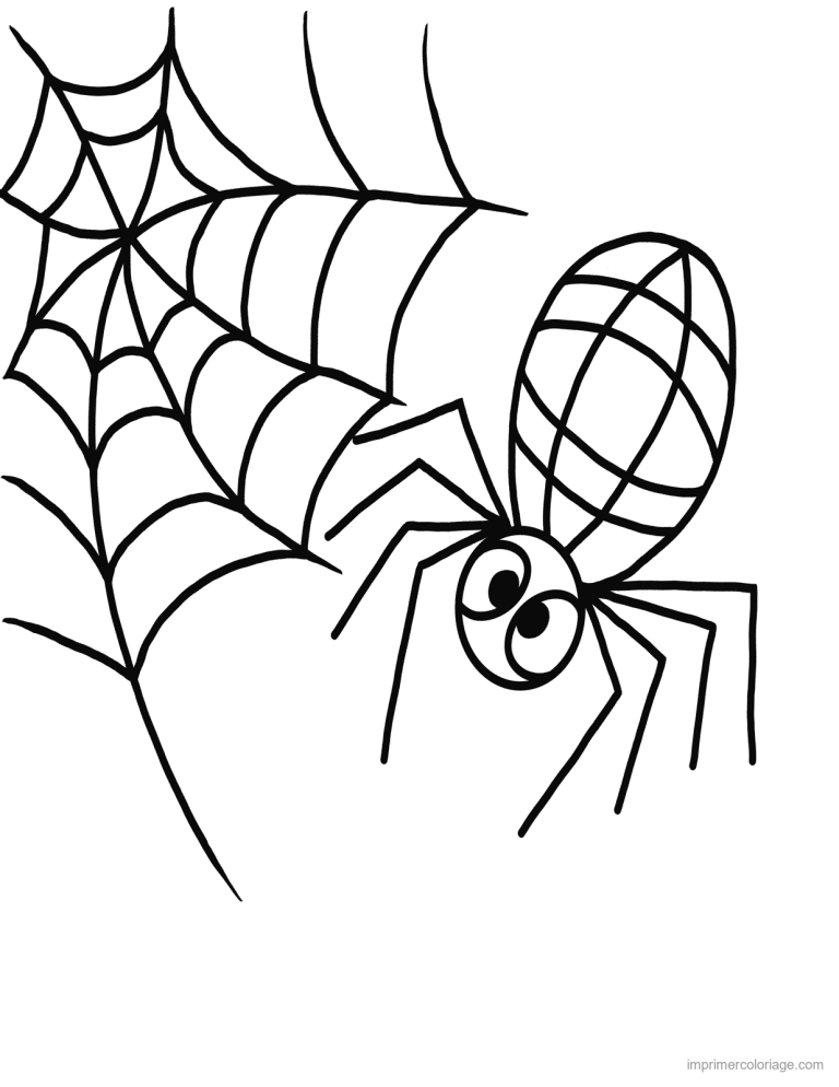 coloriage insecte araignee 3 à imprimer coloriage insecte araignee 3 - dessin gratuit à imprimer