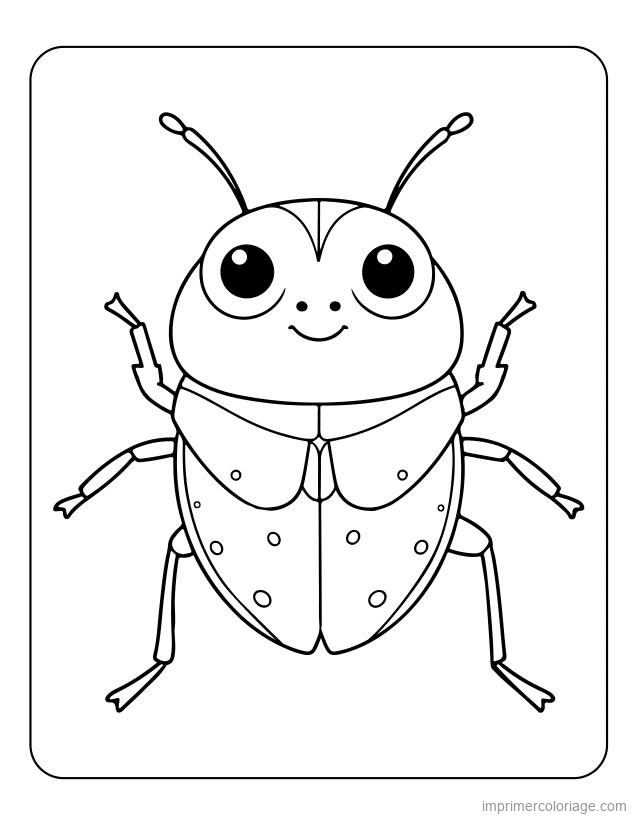 coloriage insecte coccinelle 15 à imprimer coloriage insecte coccinelle 15 - dessin gratuit à imprimer