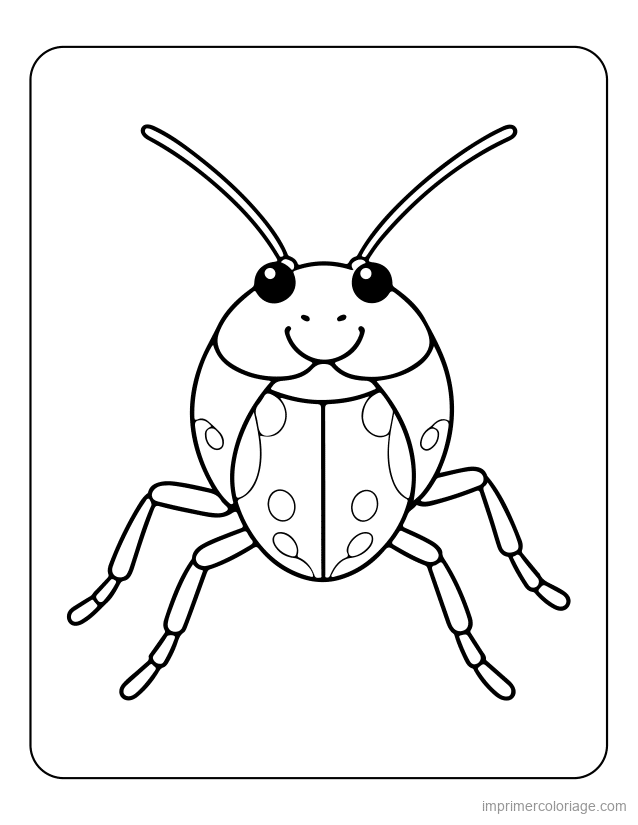 coloriage insecte coccinelle 3 à imprimer coloriage insecte coccinelle 3 - dessin gratuit à imprimer