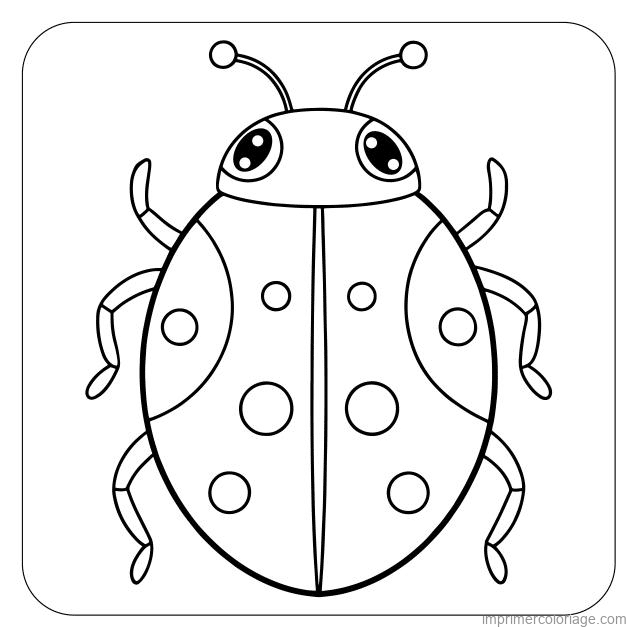 coloriage insecte coccinelle 33 à imprimer coloriage insecte coccinelle 33 - dessin gratuit à imprimer