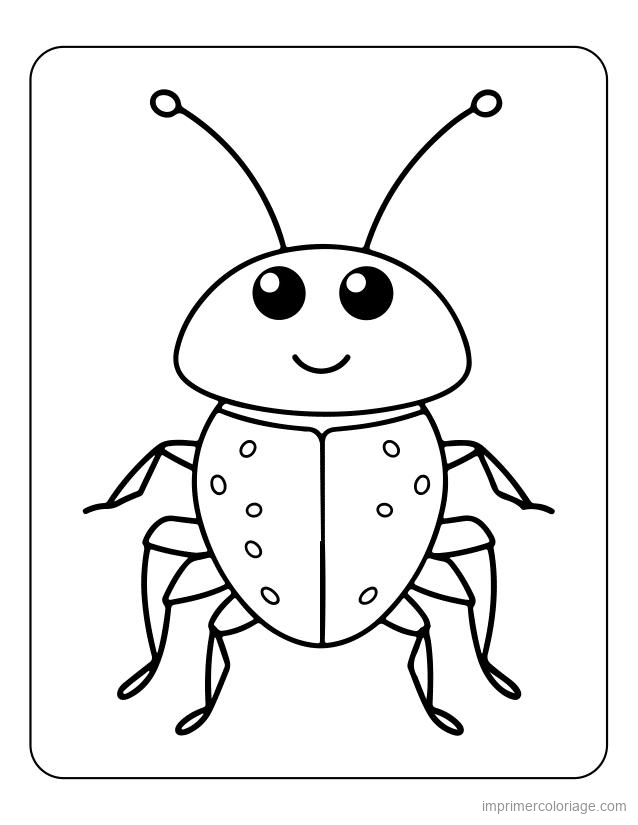 coloriage insecte coccinelle 6 à imprimer coloriage insecte coccinelle 6 - dessin gratuit à imprimer