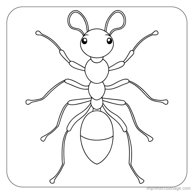 coloriage insecte fourmi 5 à imprimer coloriage insecte fourmi 5 - dessin gratuit à imprimer