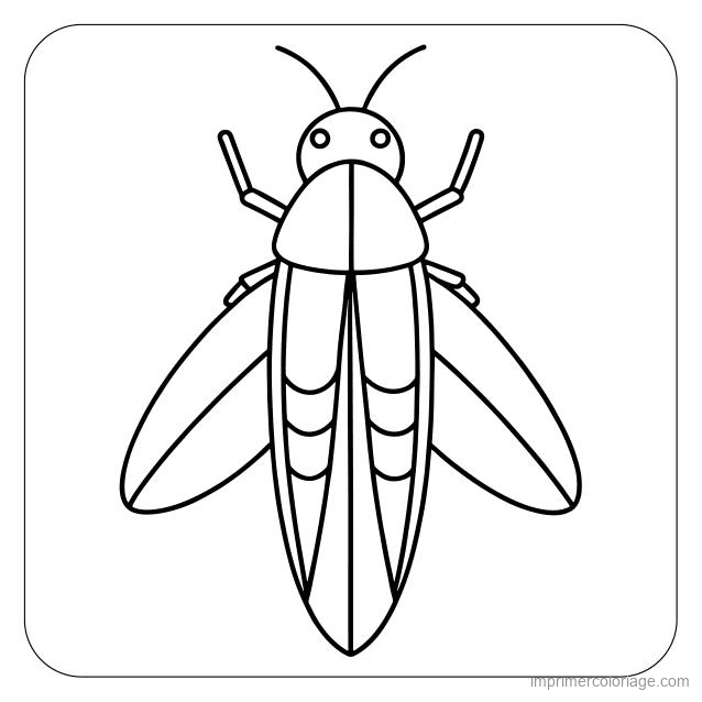 coloriage insecte mouche 16 à imprimer coloriage insecte mouche 16 - dessin gratuit à imprimer