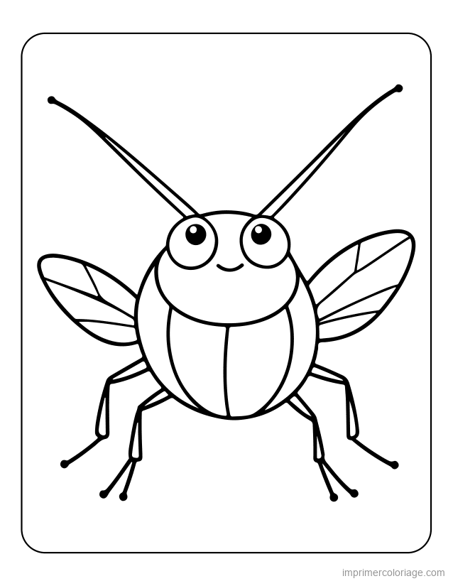 coloriage insecte sauterelle 23 à imprimer coloriage insecte sauterelle 23 - dessin gratuit à imprimer
