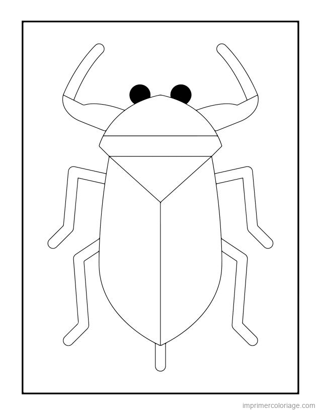 coloriage insecte scarabee 67 à imprimer coloriage insecte scarabee 67 - dessin gratuit à imprimer