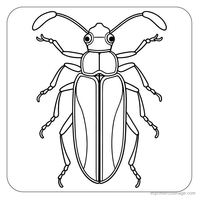 coloriage insecte scarabee 75 à imprimer coloriage insecte scarabee 75 - dessin gratuit à imprimer