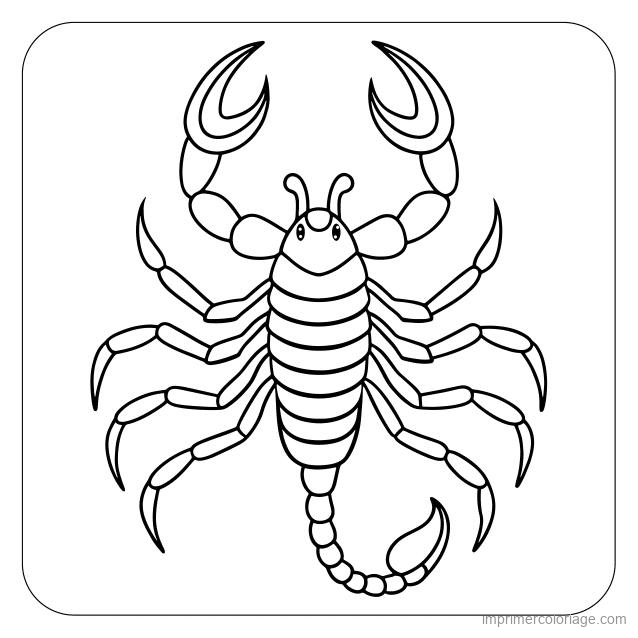 coloriage insecte scorpion 2 à imprimer coloriage insecte scorpion 2 - dessin gratuit à imprimer