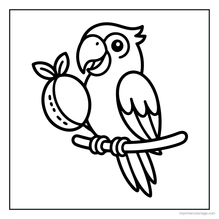 coloriage jungle perroquet et son fruit à imprimer coloriage jungle perroquet et son fruit - dessin gratuit à imprimer