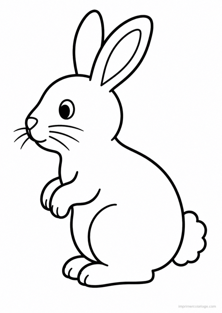 coloriage lapin epais profil simple - dessin gratuit &agrave; imprimer