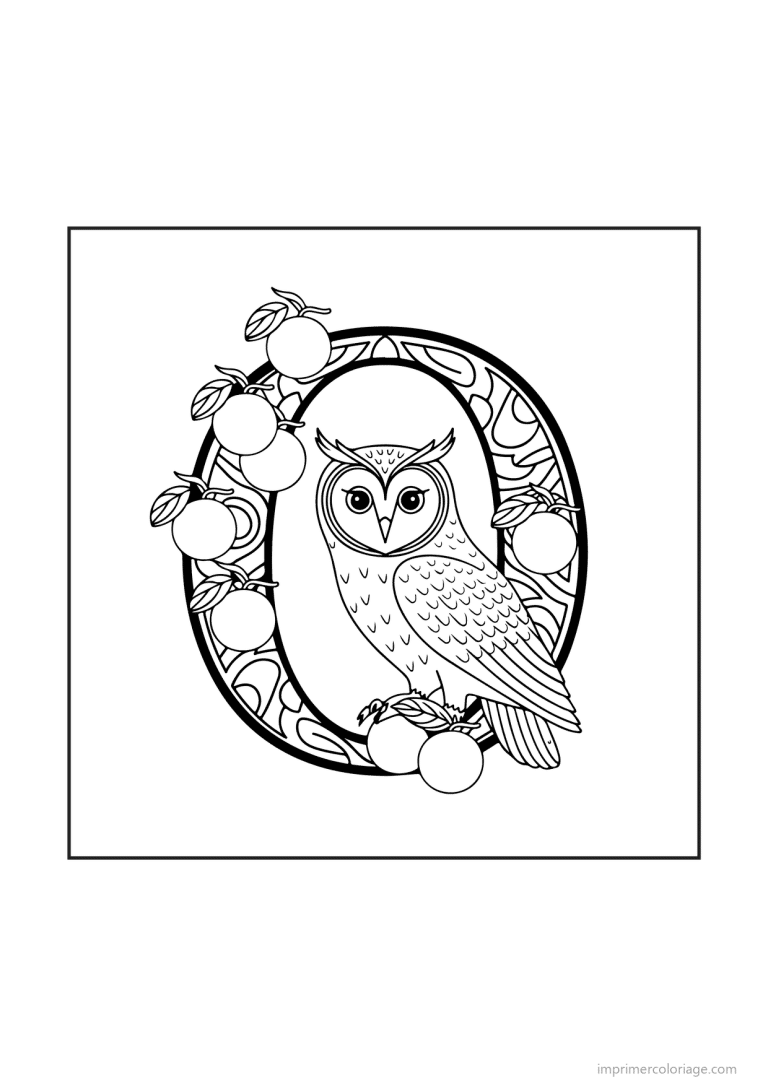 coloriage lettre o objets animaux - dessin gratuit &agrave; imprimer