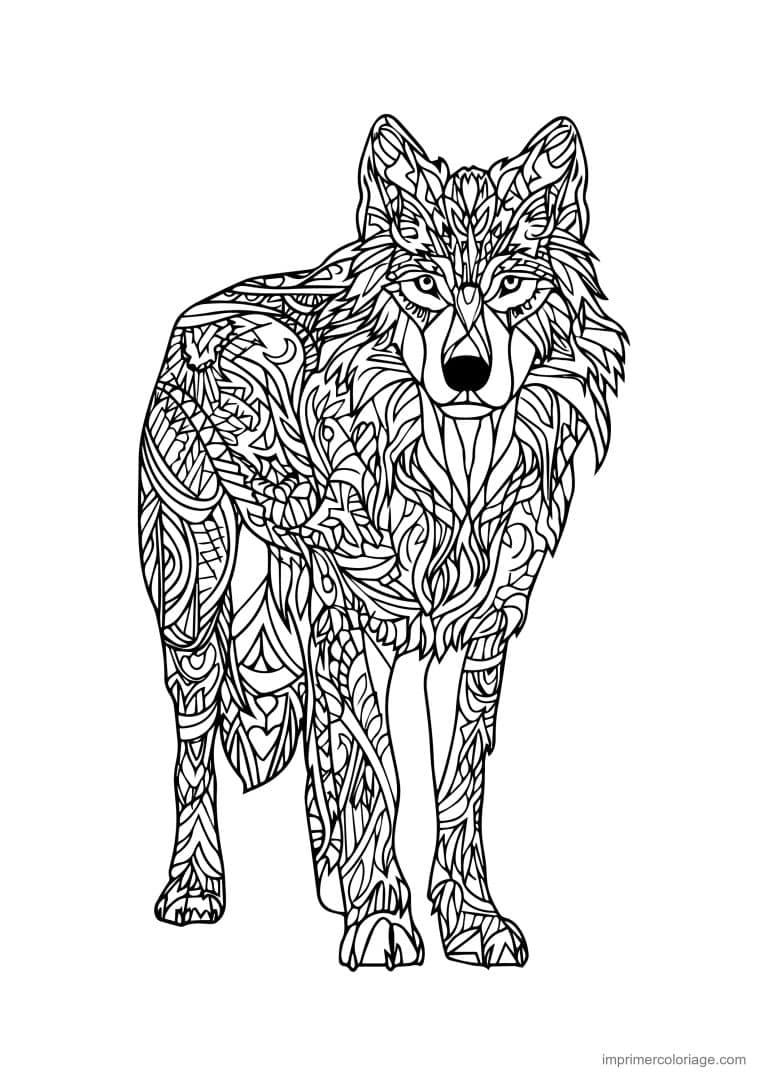 coloriage loup mandala debout allure menacante - dessin gratuit &agrave; imprimer
