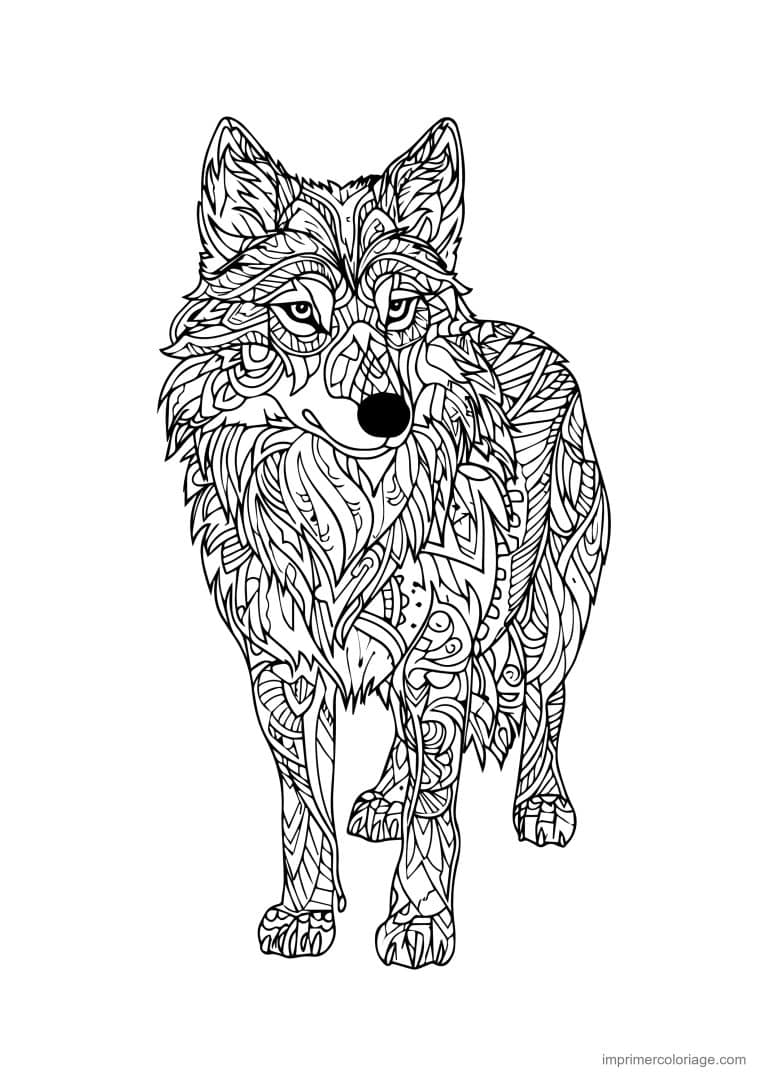 coloriage loup mandala debout face elance - dessin gratuit &agrave; imprimer