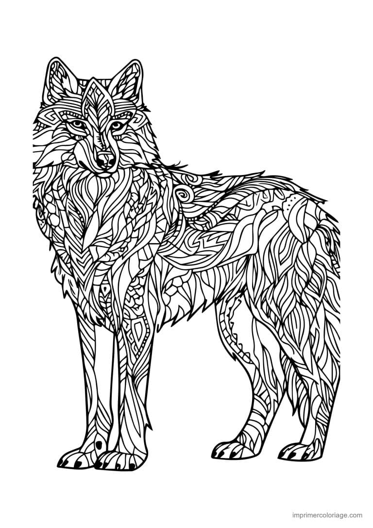 coloriage loup mandala debout fourrure ondulee - dessin gratuit &agrave; imprimer