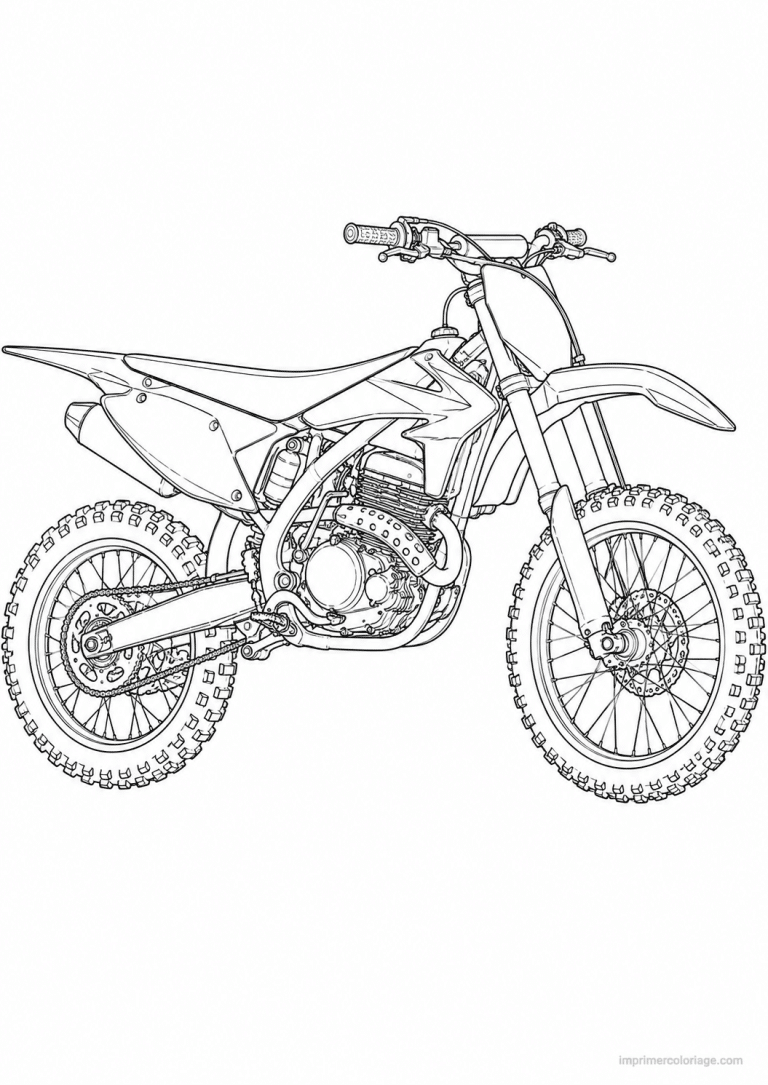 coloriage moto cross fins supercross backflip - dessin gratuit &agrave; imprimer