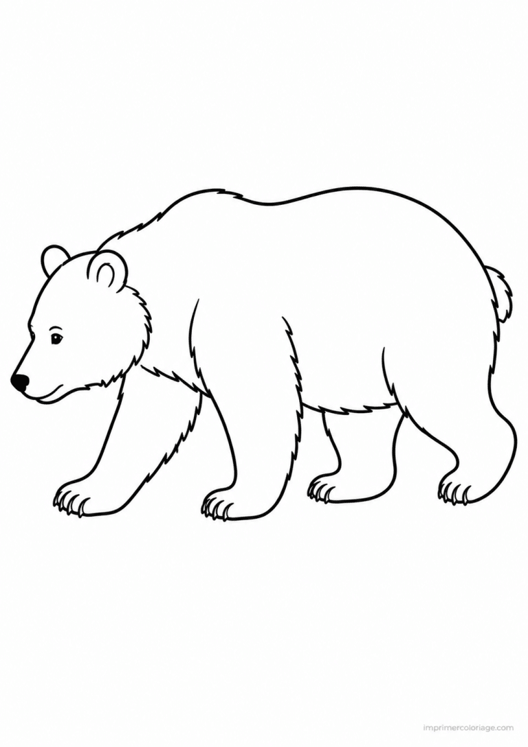 coloriage ours debout pattes levees à imprimer coloriage ours debout pattes levees - dessin gratuit à imprimer