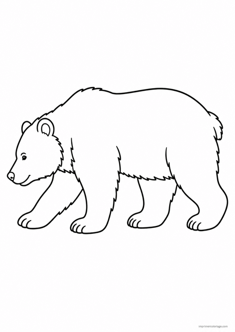coloriage ours marche quatre pattes 2 à imprimer coloriage ours marche quatre pattes 2 - dessin gratuit à imprimer