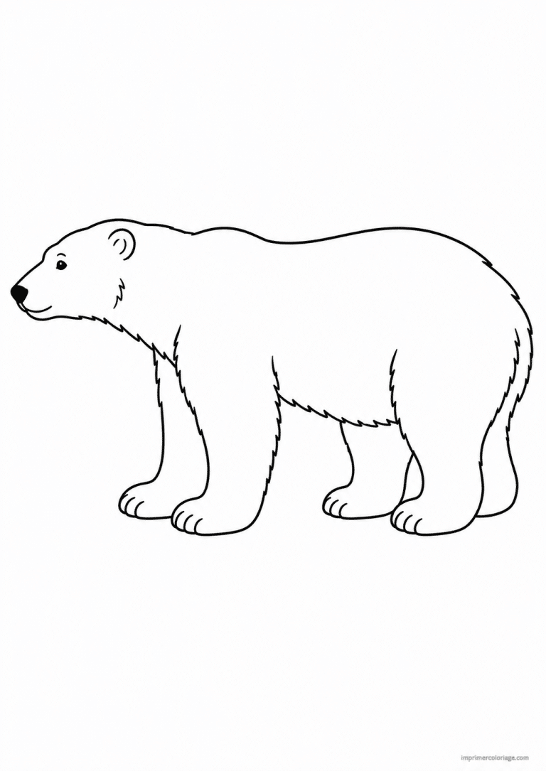 coloriage ours polaire profil à imprimer coloriage ours polaire profil - dessin gratuit à imprimer