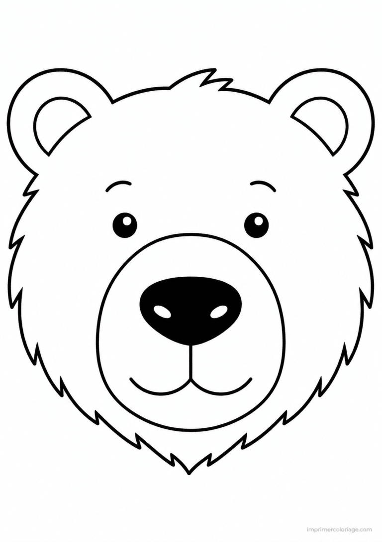 coloriage ours portrait museau à imprimer coloriage ours portrait museau - dessin gratuit à imprimer