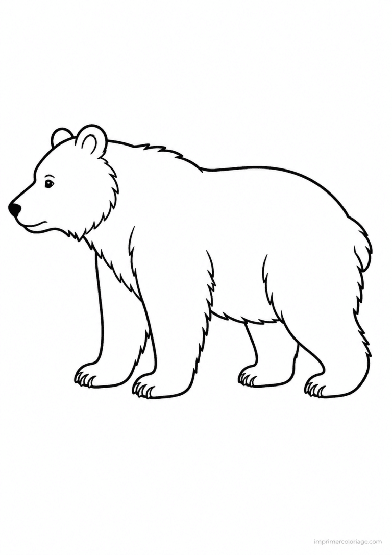 coloriage ours profil simple 2 à imprimer coloriage ours profil simple 2 - dessin gratuit à imprimer