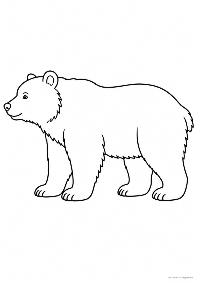 coloriage ours profil simple 3 à imprimer coloriage ours profil simple 3 - dessin gratuit à imprimer