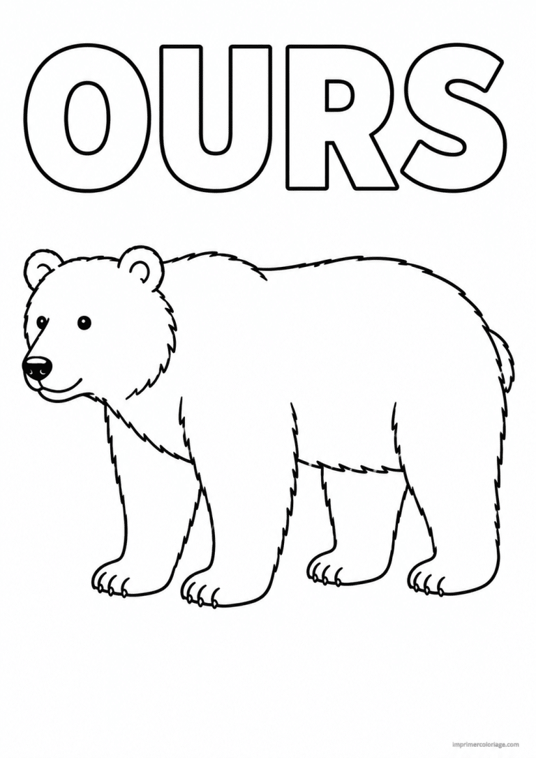 coloriage ours titre haut à imprimer coloriage ours titre haut - dessin gratuit à imprimer