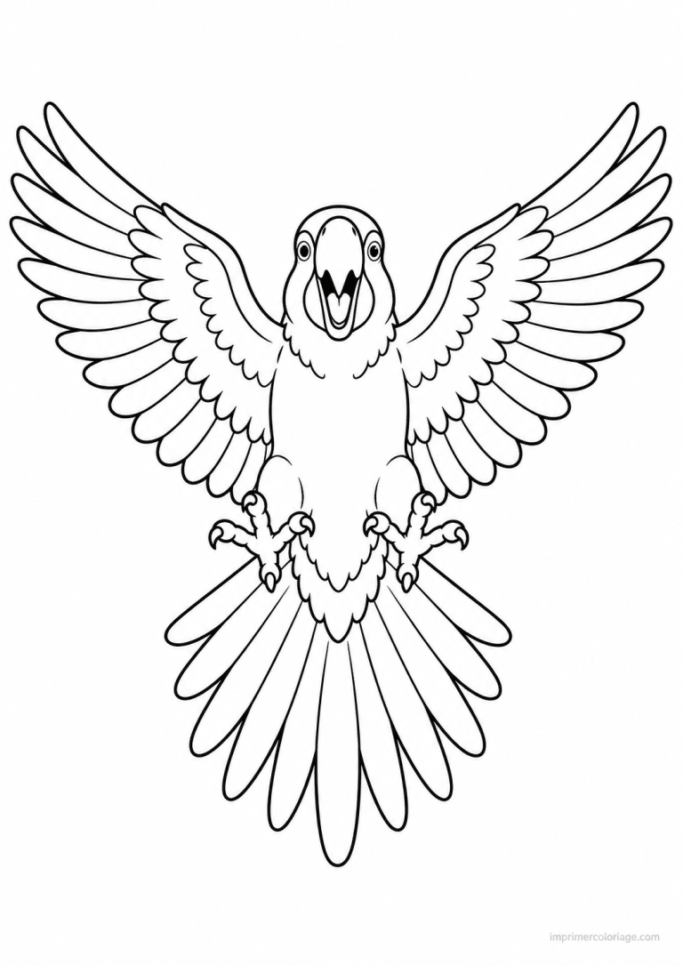 coloriage perroquet ailes deployees face - dessin gratuit &agrave; imprimer